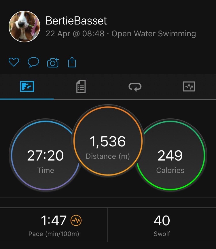 swimstats